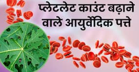 प्लेटलेट काउंट को तेजी से बढ़ाते हैं ये 5 आयुर्वेदिक पत्ते, जानें इस्तेमाल करने का तरीका
