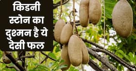 Balam Kheera Ke Fayde: पीलिया और बुखार को छूमंतर करता है बालम खीरा का जूस, ये हैं इस फल के आयुर्वेदिक गुण