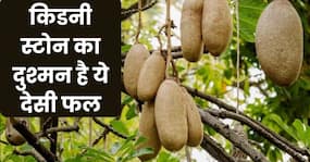 Balam Kheera Ke Fayde: पीलिया और बुखार को छूमंतर करता है बालम खीरा का जूस, ये हैं इस फल के आयुर्वेदिक गुण