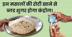 डायबिटीज मरीज आटे में मिलाकर खाएं ये 5 तरह के मसाले, 24 घंटे में नीचे आ जाएगा ब्लड शुगर