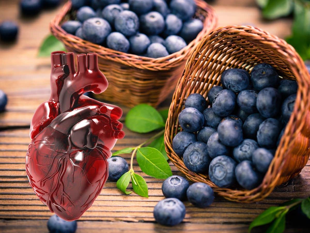 Heart Health 5 Ways Blueberries Can Keep Cardiovascular Diseases Away
