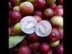 Camu Camu Benefits For Skin: How Much Camu Camu Powder Should You Take Daily?