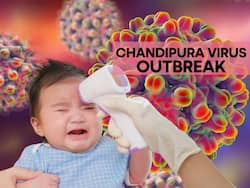 1-Year-Old Tests Positive For Chandipura Virus Infection In Gujarat   s Bharuch: 7 Symptoms To Watch Out For