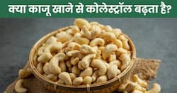 क्या काजू खाने से कोलेस्ट्रॉल बढ़ता है? जानिए एक्सपर्ट से