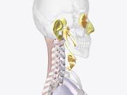 59-Year-Old Man Undergoes Spinal Cord Surgery To Regain Movement In His Arm