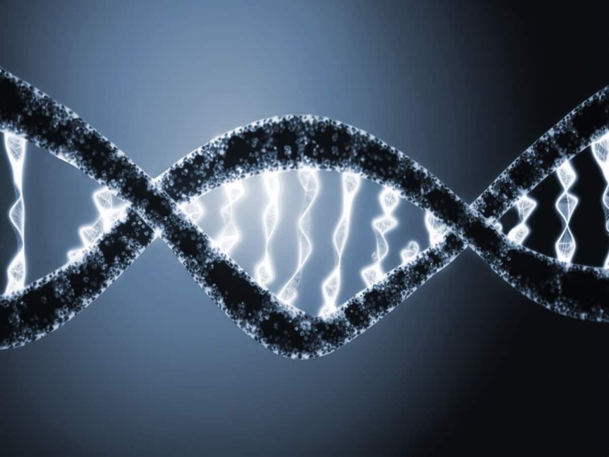 Children Health, Neurological Complications, Child development, Chromosomal abnormalities, DNA, children genes, understanding genes, Brain Mosaicism, what is Brain Mosaicism, Brain Mosaicism complications