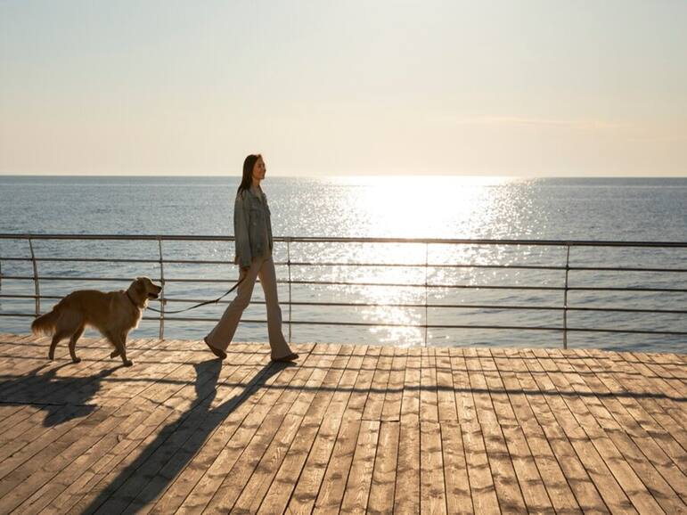 Healthy Morning And Evening Habits To Transform Your Body And Help You Manage Stress