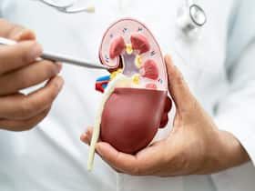 World Senior Citizen's Day: 6 Measures To Keep Their Kidneys In Top Shape