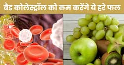 नसों में जमा बैड कोलेस्ट्रॉल को खींचकर बाहर कर देंगे ये 5 हरे फल, हार्ट अटैक का खतरा भी होगा कम