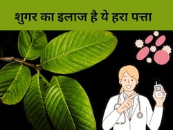 рдбрд╛рдпрдмрд┐рдЯреАрдЬ рдкреЗрд╢реЗрдВрдЯ рдХреЗ рд▓рд┐рдП рдФрд╖рдзрд┐ рд╣реИ рдпреЗ рд╣рд░рд╛ рдкрддреНрддрд╛, рдЬрд╛рдирд┐рдП рд╢реБрдЧрд░ рдХрдо рдХрд░рдиреЗ рдореЗрдВ рдХреИрд╕реЗ рдХрд░реЗрдВ рдкреНрд░рдпреЛрдЧ