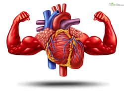 Heart Health: 5 Healthy Breakfast Option To Keep Your Blood Pressure In Check In Monsoon