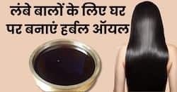 कमर तक लम्बे बाल चाहिए? करी पत्ते के साथ उबालें ये 2 चीजें तैयार हो जाएगा आयुर्वेदिक तेल
