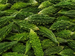 Monsoon Diet: Benefits of Eating Bitter Gourd (Karela) in Rainy Season