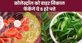 नसों में जमा बैड कोलेस्ट्रॉल को खींचकर बाहर निकाल देंगे ये 5 हरे पत्ते, हार्ट अटैक का खतरा भी होगा कम नसों में जमा बैड कोलेस्ट्रॉल को खींचकर बाहर निकाल देंगे ये 5 हरे पत्ते, हार्ट अटैक का खतरा भी होगा कम