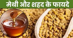 मेथी और शहद खाने से सेहत को मिलेंगे ये 5 जबरदस्त फायदे, डायबिटीज से लेकर हाई कोलेस्ट्रॉल तक रहेगा कंट्रोल