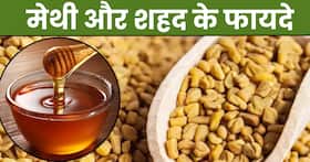 मेथी और शहद खाने से सेहत को मिलेंगे ये 5 जबरदस्त फायदे, डायबिटीज से लेकर हाई कोलेस्ट्रॉल तक रहेगा कंट्रोल मेथी और शहद खाने से सेहत को मिलेंगे ये 5 जबरदस्त फायदे, डायबिटीज से लेकर हाई कोलेस्ट्रॉल तक रहेगा कंट्रोल