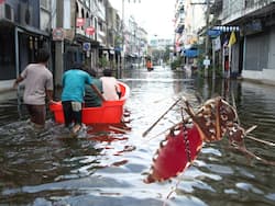 Mumbai Logs Over 1300 Cases of Dengue, Leptospirosis And Malaria; Signs And Prevention Tips To Follow