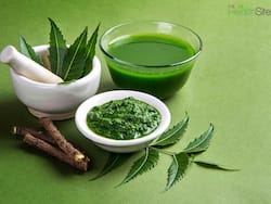 High Uric Acid Control: Ayurvedic Leaf That Can Help Reduce Purine Levels Naturally