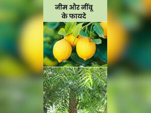 नीम और नींबू का एक साथ सेवन करने के 7 फायदे