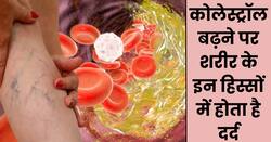 शरीर के इन 5 अंगों में दर्द को भूलकर भी न करें नजरअंदाज, हाई कोलेस्ट्रॉल का हो सकता है संकेत