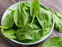 मॉनसून में हरी सब्जियां और दही क्यों नहीं खाना चाहिए?