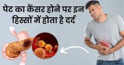 इन 5 हिस्सों में दर्द से समझ जाएं लास्ट स्टेज में आ चुका है पेट का कैंसर, इग्नोर करने की न करें भूल