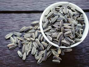 Healthy Fat का बेहतरीन सोर्स है सूरजमुखी के बीज, Cholesterol और Heart Patient के लिए है नैचुरल Supplement