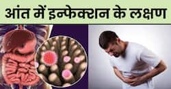 शरीर में दिख रहे ये 5 लक्षण बताते हैं कि आंत में है इन्फेक्शन, तुरंत करवाएं अपना इलाज