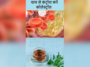 कोलेस्ट्रॉल कंट्रोल करेंगी ये 6 हर्बल टी