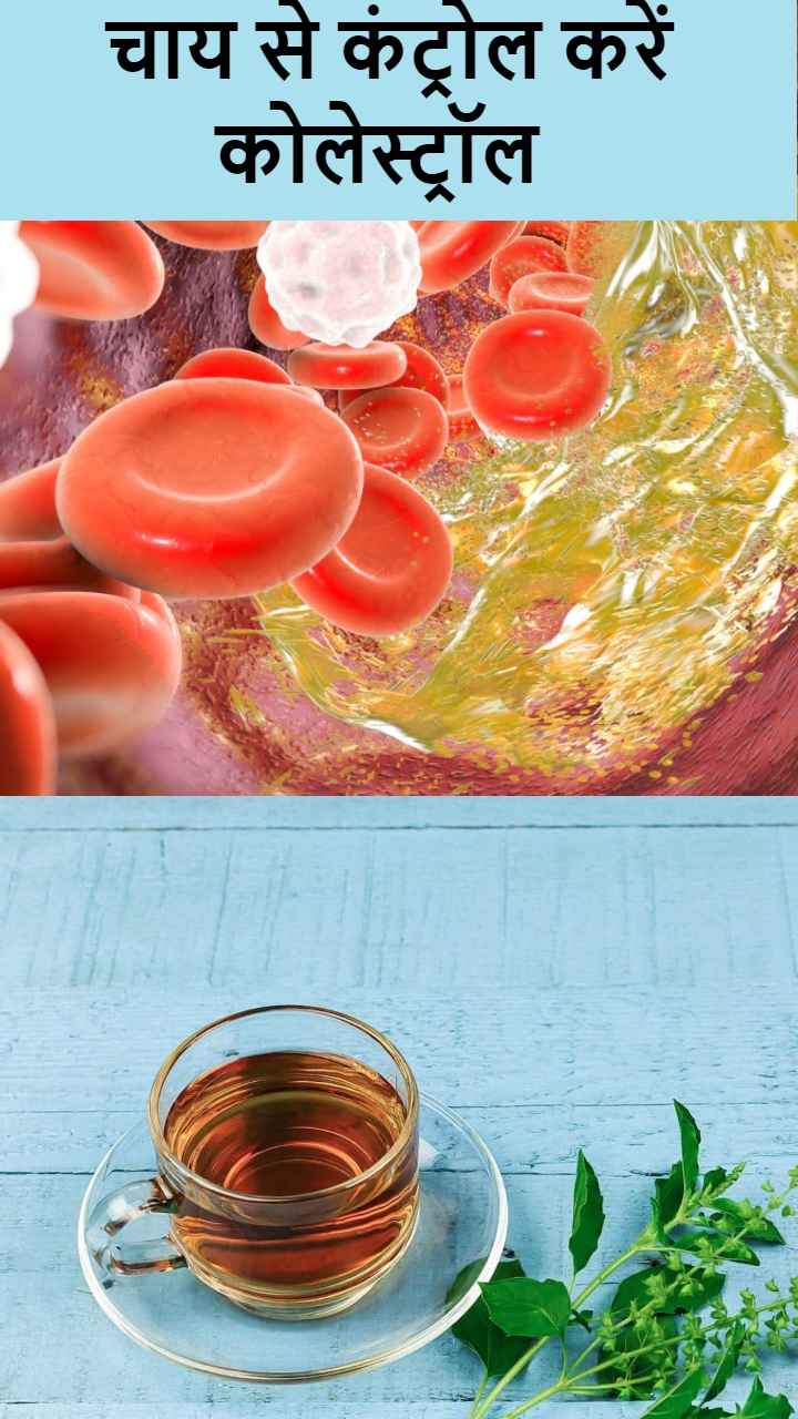 कोलेस्ट्रॉल कंट्रोल करेंगी ये 6 हर्बल टी
