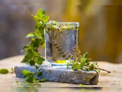 Clogged Arteries: 7 Ways Drinking Tulsi Water On Empty Stomach Can Help Clean Heart Arteries Naturally