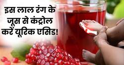 यूरिक एसिड के क्रिस्टल को चकनाचूर कर देगा ये लाल रंग का जूस, दर्द से तुरंत मिलेगा आराम