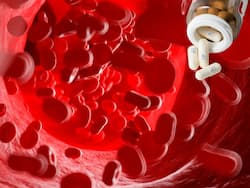 Top 5 Vitamin B6 Foods For Increasing Blood Production In Your Body