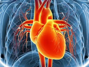 5 Blood Circulation Stimulating Activities To Keep The Heart Healthy 