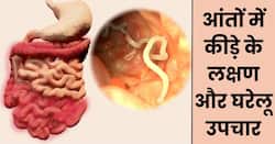 आंत में कीड़े होने पर शरीर देता है ये 5 संकेत, समय पर पहचानकर घर में इस तरह करें इलाज