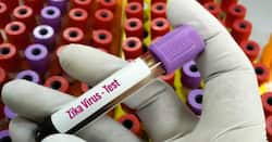 जीका वायरस के खतरे का अलर्ट, पुणे नगर निगम ने शुरू किया प्रेगनेंट महिलाओं का परिक्षण