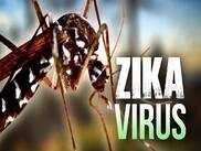 Congenital Zika Syndrome: Can Zika Virus Lead To Multiple Birth Defects In A New Born?