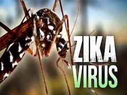 Congenital Zika Syndrome: Can Zika Virus Lead To Multiple Birth Defects In A New Born?