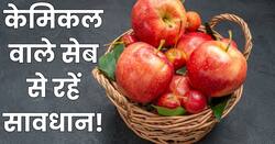 सेब खरीदने जा रहे हैं तो हो जाएं सावधान! FSSAI ने इन सेबों को कर दिया है बैन, खाने से हो सकता है कैंसर!