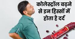 इन 4 जगहों पर दर्द हो सकता है हाई कोलेस्ट्रॉल का लक्षण, आराम के लिए करें ये उपाय