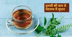 Basil Tea Benefits: बारिश के मौसम में बार-बार हो रही सर्दी-खंसी से परेशान? ऐसे करें तुलसी की चाय का सेवन
