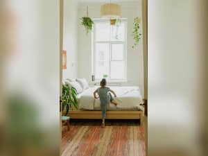 10 Indoor Plants For Cleaner Air And Better Sleep
