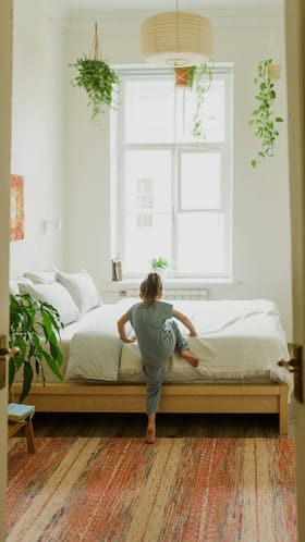 10 Indoor Plants For Cleaner Air And Better Sleep