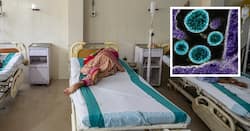 Chandipura Virus: गुजरात में 6 बच्चों की जान ले चुका है चांदीपुरा वायरस, अब राजस्थान भी अलर्ट पर
