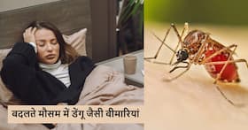 बारिश के मौसम के बाद तेजी से बढ़ने लगा डेंगू का खतरा, एक्सपर्ट्स की बताई ये सावधानियां जरूरी
