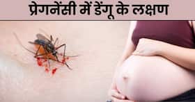प्रेगनेंसी में डेंगू के इन लक्षणों को ना करें इग्नोर, तुरंत करें डॉक्टर से सम्पर्क
