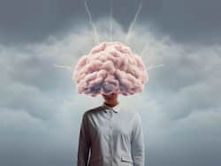 7 Omega 3 Fatty Acid-Rich Foods To Elevate Brain Power