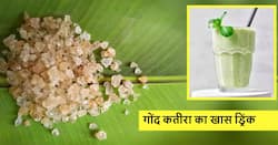 Healthy Drink: रोज दिन में एक गिलास पिएं इस खास चीज से बना शरबत, शरीर के अंदर रहेगा ऐसी जैसी ठंडक