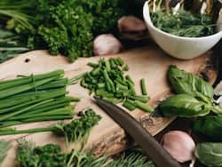 5 Dietician-Recommended Drumsticks Recipes To Keep Heart Healthy During Monsoon
