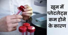डेंगू ही नहीं इस बीमारी में भी कम हो जाते हैं खून में प्लेटलेट्स, दिखें ये लक्षण तो तुरंत कराएं टेस्ट